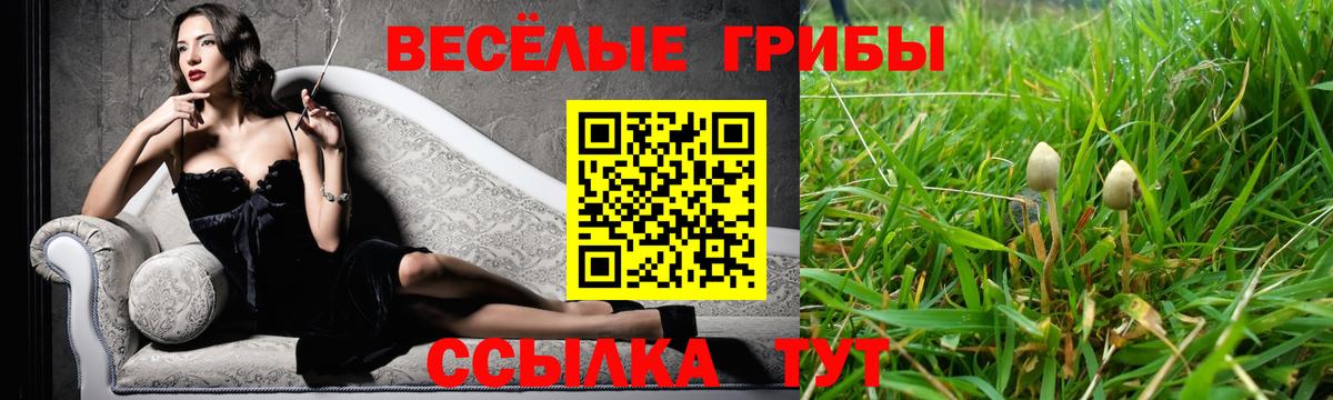 Шадринск  Галлюциногенные грибы мухоморы  Псилоцибиновые грибы Magic Shrooms  Вход с VPN 