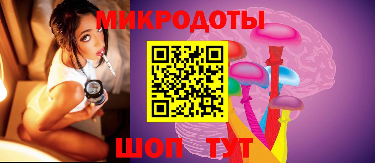 Псилоцибиновые грибы Psilocybine cubensis Шадринск